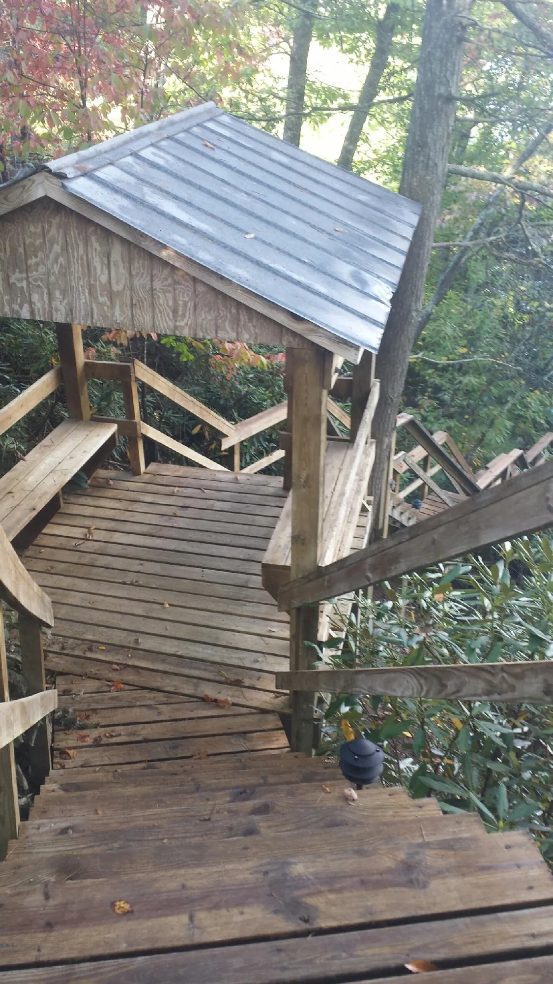 Metal roofed shelter over wooden steps on a wooded walkway — Skylight Repair & Installation work by our crew in Murchison